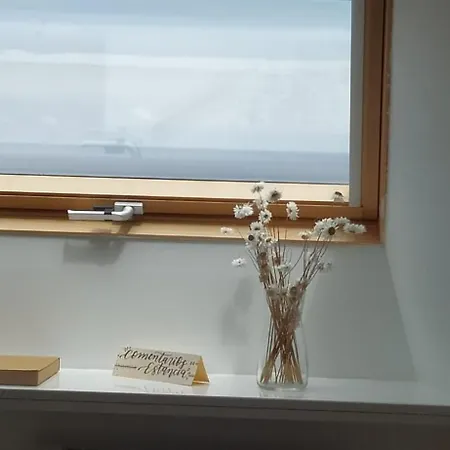 Apartment Descubre Con Nosotros