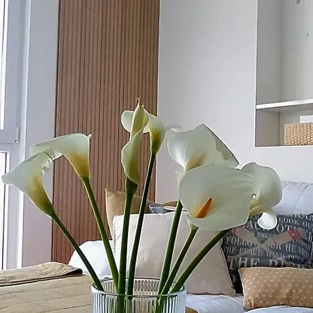 Apartament Descubre Con Nosotros