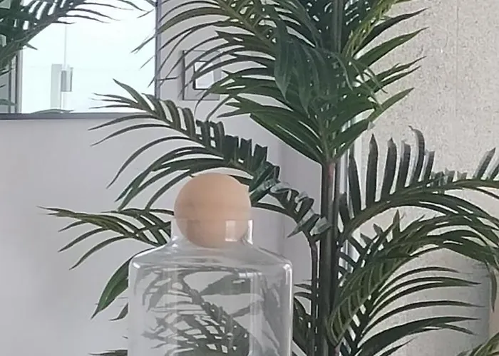 Descubre Con Nosotros Διαμέρισμα