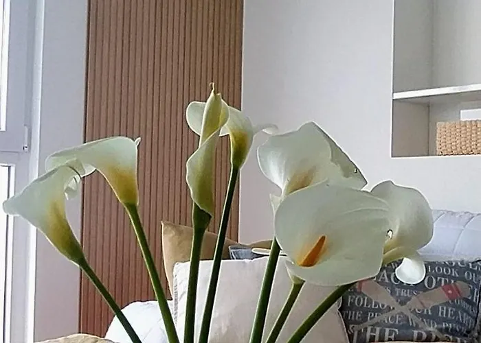 Διαμέρισμα Descubre Con Nosotros